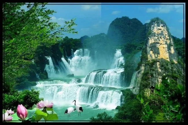 全自动高端独特
